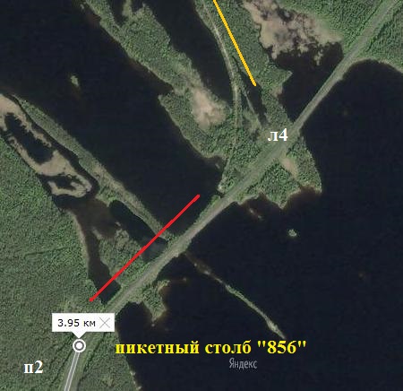 856.jpg