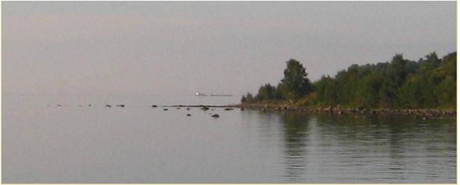c1.jpg