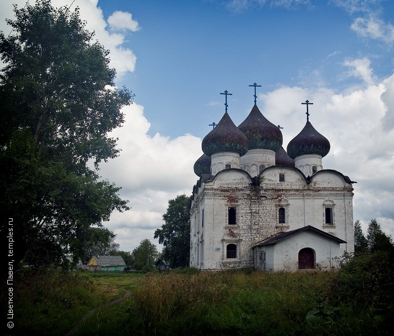 Каргополь церкви