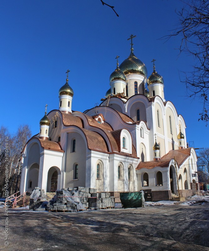 Матрона Московская храм Дмитровское