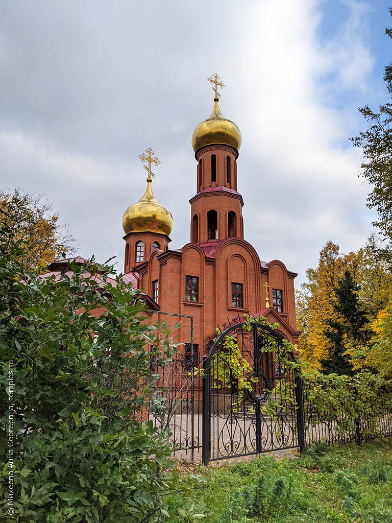 Московская область Дзержинский Церковь Димитрия Донского Фотография