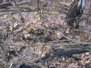 ������� ����������� ������������� ������ ��������� �������. �������, ���������� �� ��������� ���������� ������.