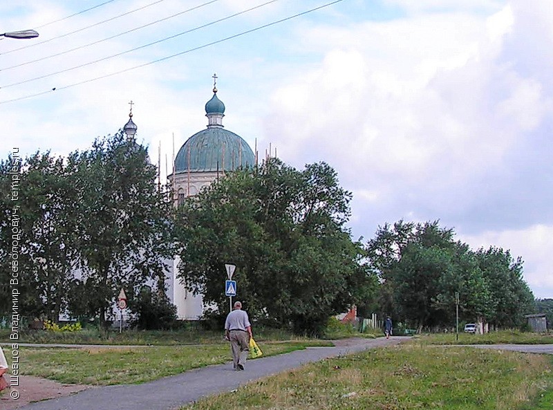 Храм Мишкинский Курганской области