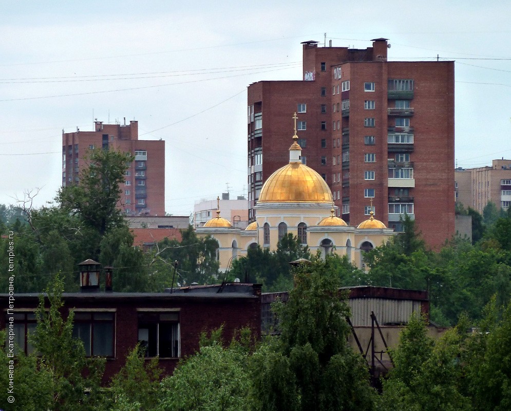 Республика Карелия Петрозаводск Собор Александра Невского Ограда Ворота  Фотография